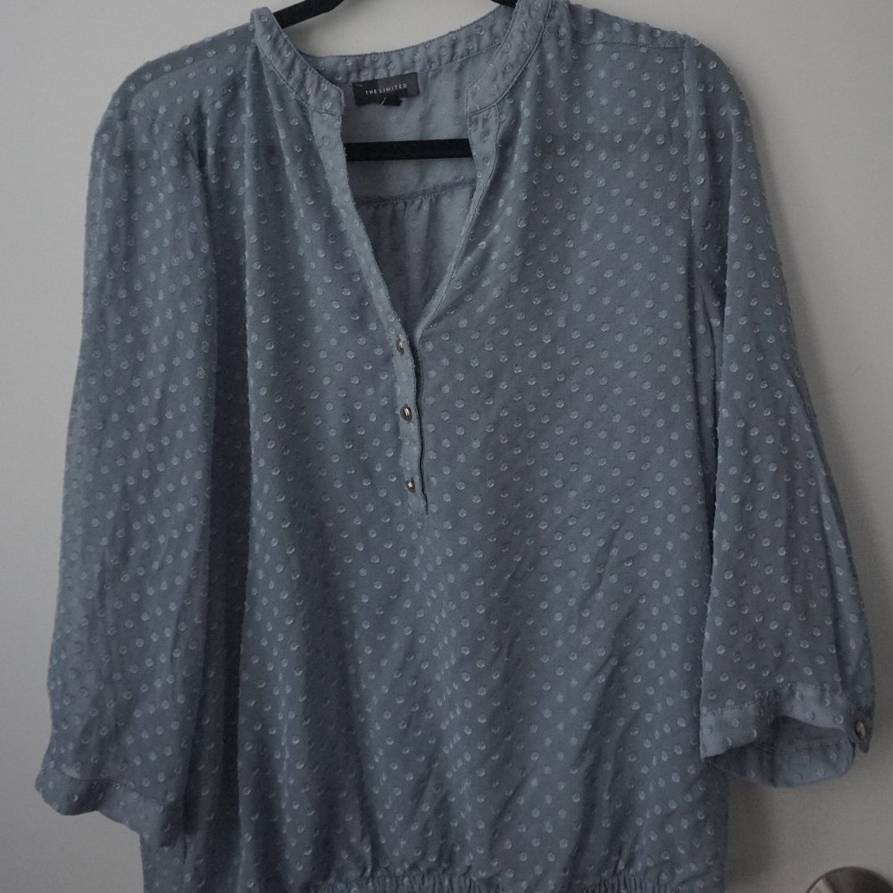 The Limited Sheer Blue Blouse Top Dot Pattern